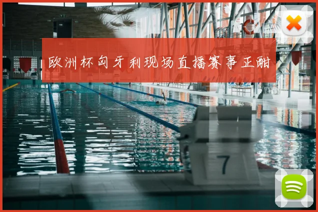 欧洲杯匈牙利现场直播赛事正酣