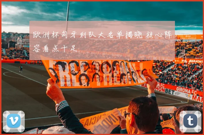 欧洲杯匈牙利队大名单揭晓 核心阵容看点十足