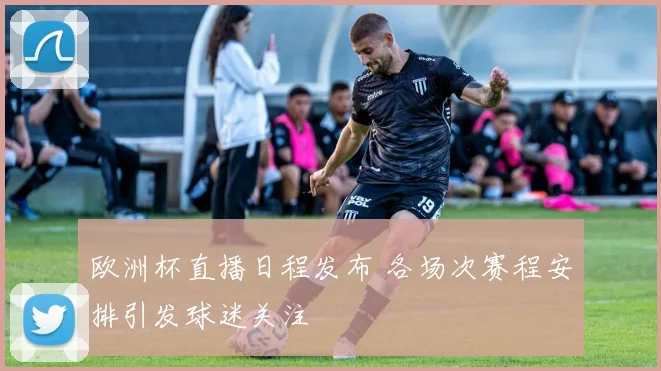 欧洲杯直播日程发布 各场次赛程安排引发球迷关注