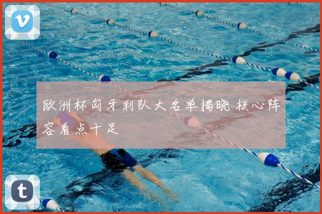 欧洲杯匈牙利队大名单揭晓 核心阵容看点十足