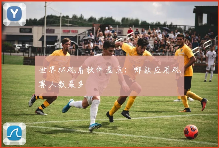 世界杯观看软件盘点：哪款应用观赛人数最多