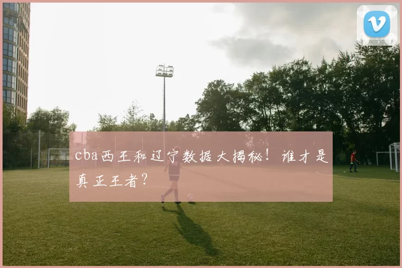 cba西王和辽宁数据大揭秘！谁才是真正王者？