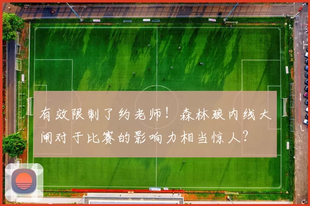 有效限制了约老师！森林狼内线大闸对于比赛的影响力相当惊人？