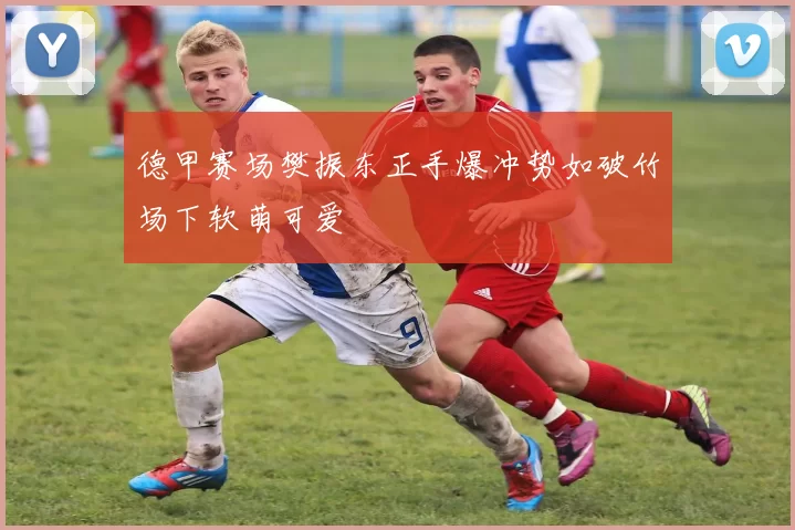 德甲赛场樊振东正手爆冲势如破竹场下软萌可爱