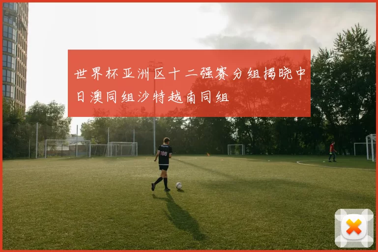 世界杯亚洲区十二强赛分组揭晓中日澳同组沙特越南同组