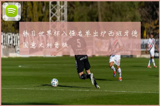韩日世界杯八强名单出炉西班牙德国意大利晋级