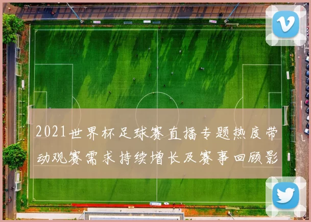 2021世界杯足球赛直播专题热度带动观赛需求持续增长及赛事回顾影响