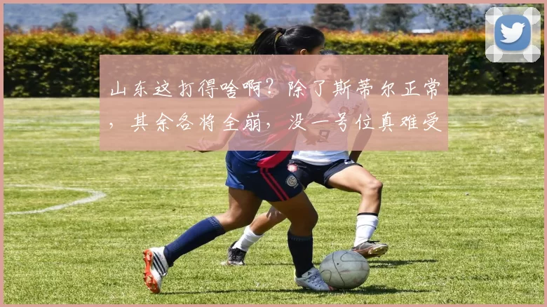 山东这打得啥啊?除了斯蒂尔正常,其余各将全崩,没一号位真难受