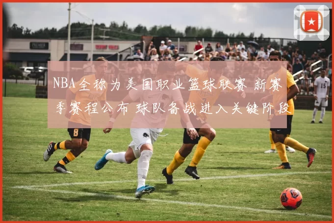 NBA全称为美国职业篮球联赛 新赛季赛程公布 球队备战进入关键阶段