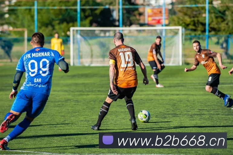bsports官网首页服务体系